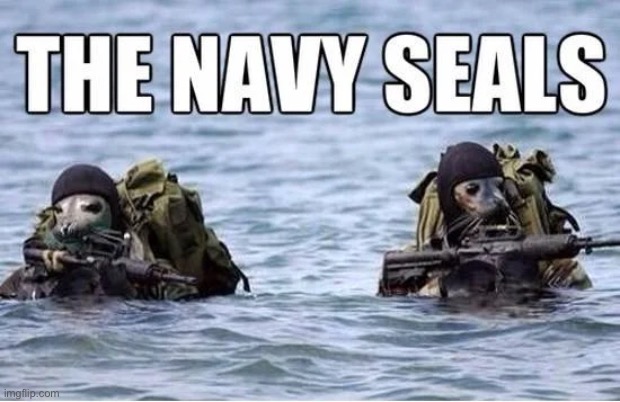 Umm | image tagged in military,funny | made w/ Imgflip meme maker