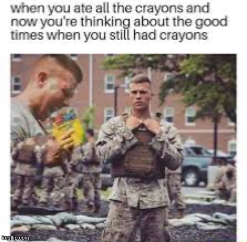 Wow ok | image tagged in military | made w/ Imgflip meme maker