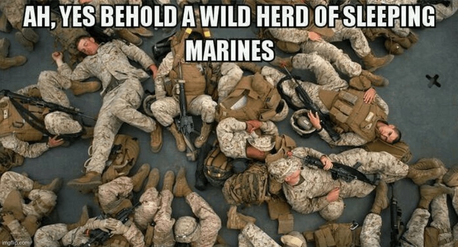 Zzzzzzzz… Zzzzzzzz… ? | image tagged in military | made w/ Imgflip meme maker