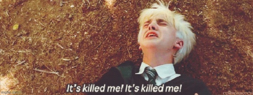 Draco it's killed me | image tagged in draco it's killed me | made w/ Imgflip meme maker