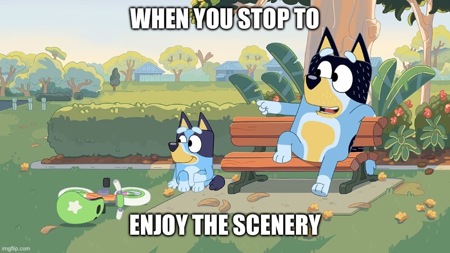 I’m low on meme ideas, so here’s another lame meme | WHEN YOU STOP TO; ENJOY THE SCENERY | image tagged in bluey | made w/ Imgflip meme maker