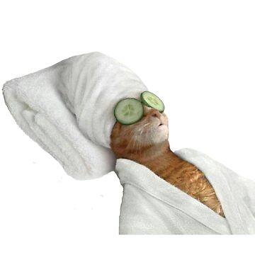 cat Blank Meme Template
