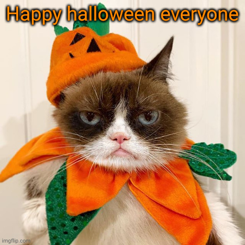 Grumpy Cat Halloween | Happy halloween everyone | image tagged in grumpy cat halloween | made w/ Imgflip meme maker