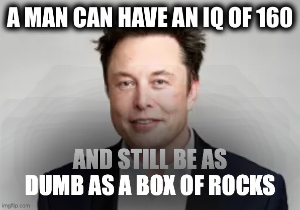 A MAN CAN HAVE AN IQ OF 160; AND STILL BE AS DUMB AS A BOX OF ROCKS | image tagged in memes | made w/ Imgflip meme maker