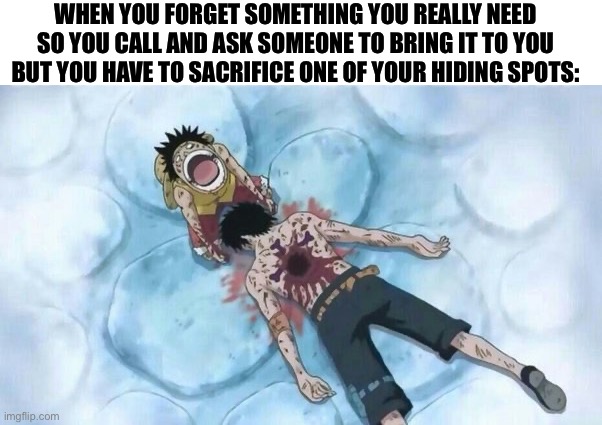 Real 2 | WHEN YOU FORGET SOMETHING YOU REALLY NEED SO YOU CALL AND ASK SOMEONE TO BRING IT TO YOU BUT YOU HAVE TO SACRIFICE ONE OF YOUR HIDING SPOTS: | image tagged in funny,anime,one piece,memes | made w/ Imgflip meme maker