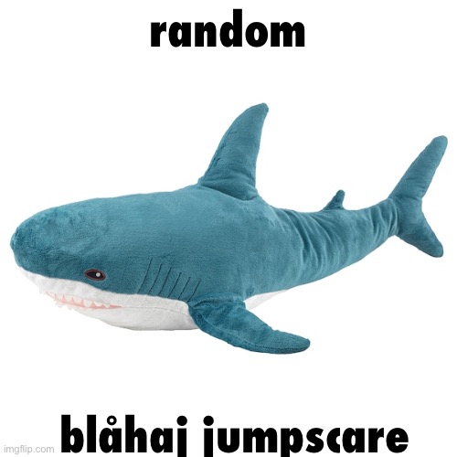 random blåhaj jumpscare | random blåhaj jumpscare | image tagged in bl haj | made w/ Imgflip meme maker