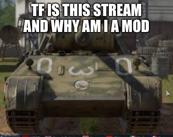 Memespoon Panther Annoucement | TF IS THIS STREAM AND WHY AM I A MOD | image tagged in memespoon panther annoucement | made w/ Imgflip meme maker