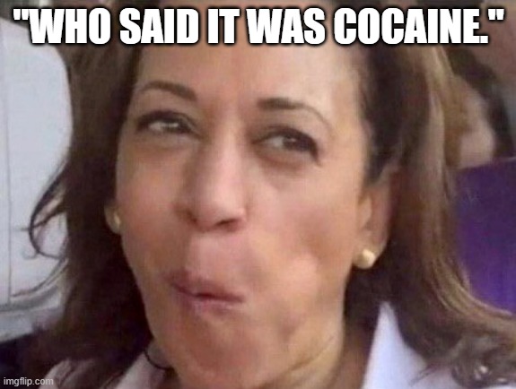 Kamala Harris | "WHO SAID IT WAS COCAINE." | image tagged in kamala harris | made w/ Imgflip meme maker