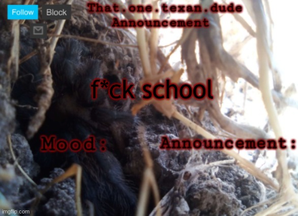 THE that.one.texan.dude announcement template | f*ck school | image tagged in the that one texan dude announcement template | made w/ Imgflip meme maker