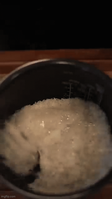Animated GIF - Imgflip