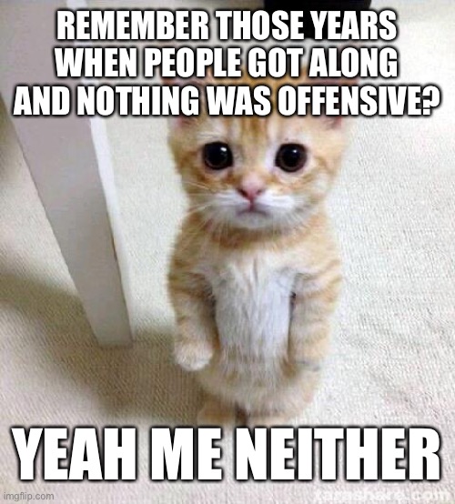 Cute Cat | REMEMBER THOSE YEARS WHEN PEOPLE GOT ALONG AND NOTHING WAS OFFENSIVE? YEAH ME NEITHER | image tagged in memes,cute cat | made w/ Imgflip meme maker