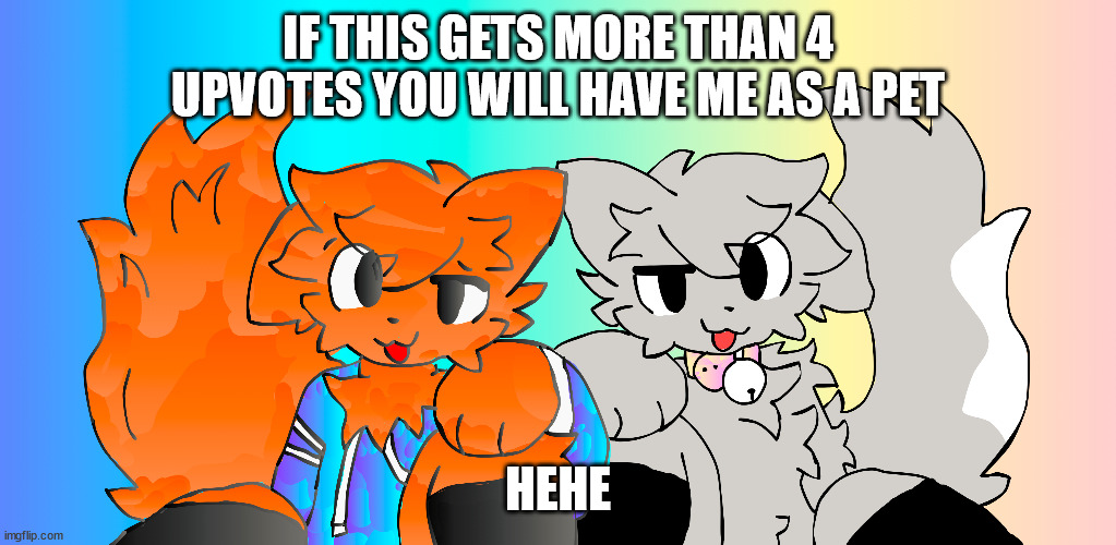 this isnt upvote begging i wanna try something... see if people would want me as a pet lol | IF THIS GETS MORE THAN 4 UPVOTES YOU WILL HAVE ME AS A PET; HEHE | image tagged in furry,pets | made w/ Imgflip meme maker