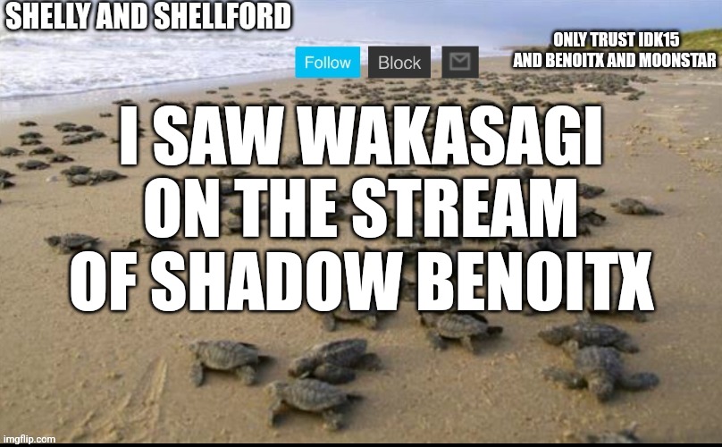 I like turtles | I SAW WAKASAGI ON THE STREAM OF SHADOW BENOITX | image tagged in i like turtles | made w/ Imgflip meme maker