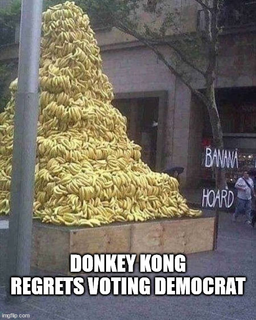 Donkey Kong Learns About Wealth Redistribution | DONKEY KONG REGRETS VOTING DEMOCRAT | image tagged in bannanas,voting,democrat,wealth redistribution,communism,donkey kong | made w/ Imgflip meme maker