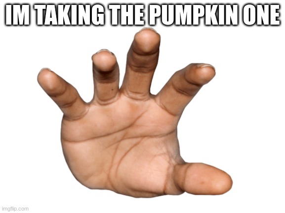 Blank White Template | IM TAKING THE PUMPKIN ONE | image tagged in blank white template | made w/ Imgflip meme maker