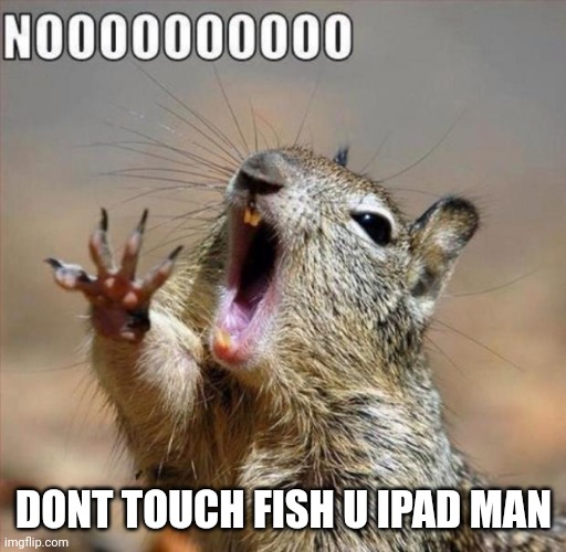 noooooooooooooooooooooooo | DONT TOUCH FISH U IPAD MAN | image tagged in noooooooooooooooooooooooo | made w/ Imgflip meme maker
