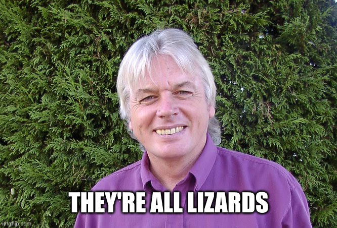 David Icke | THEY'RE ALL LIZARDS | image tagged in david icke | made w/ Imgflip meme maker