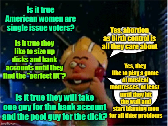 Yes, they do it all the time. But don't you ever get caught with the maid | Is it true American women are single issue voters? Yes, abortion as birth control is all they care about; Is it true they like to size up dicks and bank accounts until they find the "perfect fit"? Yes, they like to play a game of musical mattresses, at least; until they hit the wall and start blaming men for all thier problems; Is it true they will take one guy for the bank account and the pool guy for the dick? | image tagged in liberal vs conservative,abortion,birth control,feminism,prenuptial agreements | made w/ Imgflip meme maker