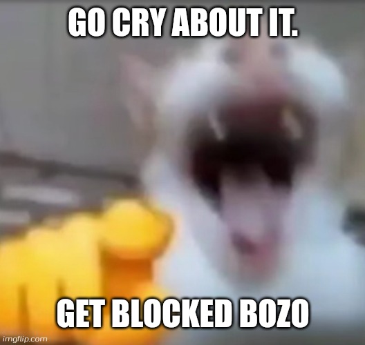 Cat pointing and laughing | GO CRY ABOUT IT. GET BLOCKED BOZO | image tagged in cat pointing and laughing | made w/ Imgflip meme maker