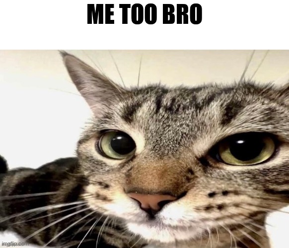 ME TOO BRO | made w/ Imgflip meme maker