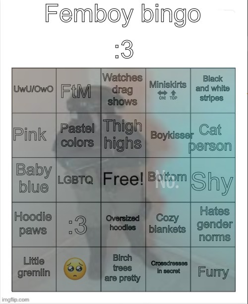 no. | No. | image tagged in femboy bingo | made w/ Imgflip meme maker