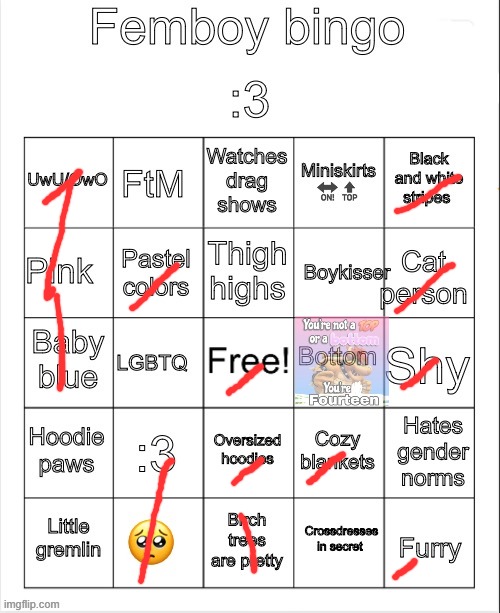 Femboy bingo | image tagged in femboy bingo | made w/ Imgflip meme maker