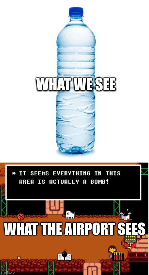 hehe | WHAT WE SEE; WHAT THE AIRPORT SEES | image tagged in water bottle,everything is a bomb | made w/ Imgflip meme maker