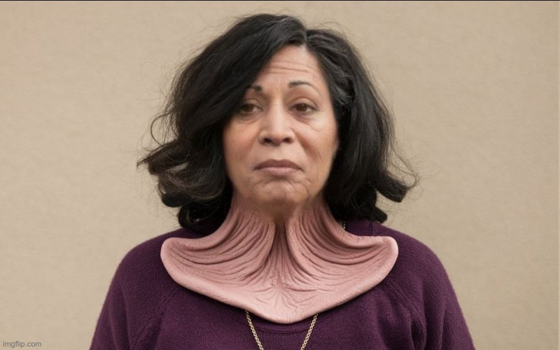 image tagged in kamala s neck | made w/ Imgflip meme maker