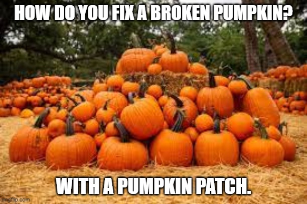 Daily Bad Dad Joke 10/07/2024 | HOW DO YOU FIX A BROKEN PUMPKIN? WITH A PUMPKIN PATCH. | image tagged in pumpkin patches in and around colleyville | made w/ Imgflip meme maker