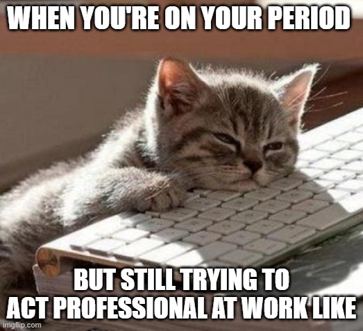 tired cat | WHEN YOU'RE ON YOUR PERIOD; BUT STILL TRYING TO ACT PROFESSIONAL AT WORK LIKE | image tagged in tired cat | made w/ Imgflip meme maker