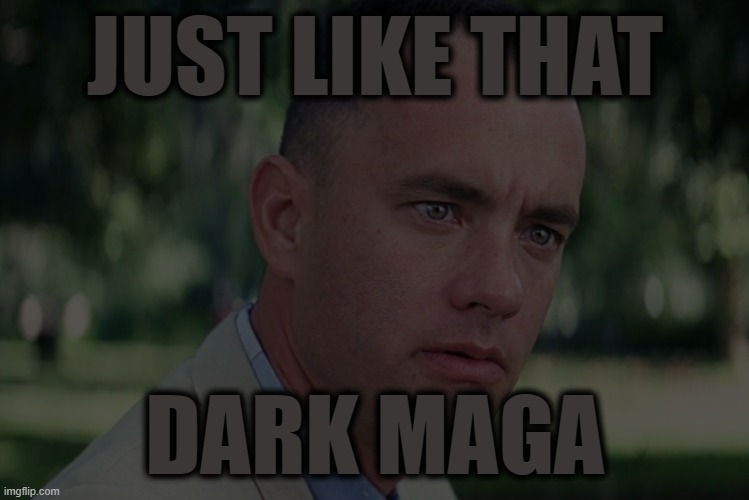 Just Like That | JUST LIKE THAT; DARK MAGA | image tagged in maga,just like that,elon,musk | made w/ Imgflip meme maker