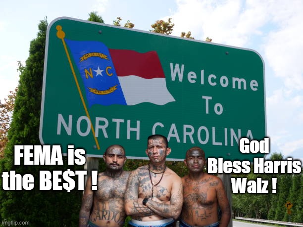 Some people are MORE than satisfied with em | God Bless Harris Walz ! FEMA is the BE$T ! | image tagged in fema harris nc meme | made w/ Imgflip meme maker