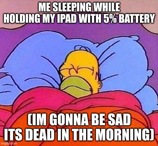 I play battle cats in the morning, in the evening, into the night. All day everyday | ME SLEEPING WHILE HOLDING MY IPAD WITH 5% BATTERY; (IM GONNA BE SAD ITS DEAD IN THE MORNING) | image tagged in homer simpson sleeping peacefully | made w/ Imgflip meme maker