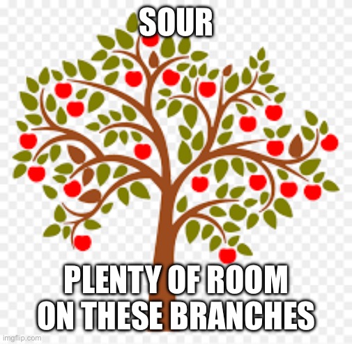 Apple tree | SOUR PLENTY OF ROOM ON THESE BRANCHES | image tagged in apple tree | made w/ Imgflip meme maker