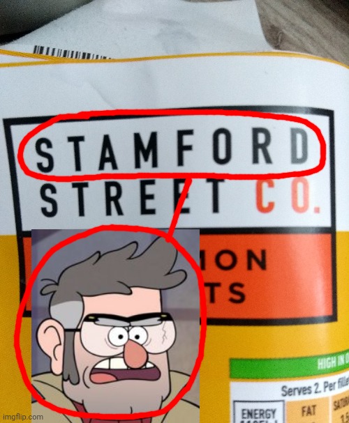 Stanford!? | image tagged in gravity falls | made w/ Imgflip meme maker