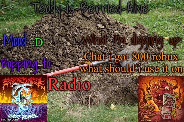 Idk if i should do a gamepass or get a new avatar | :D; Chat i got 800 robux what should i use it on; Radio | image tagged in teddy-is-berried-alive's template | made w/ Imgflip meme maker