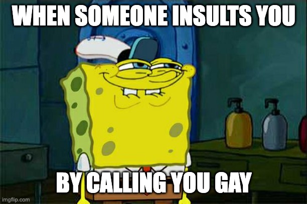 Don't You Squidward | WHEN SOMEONE INSULTS YOU; BY CALLING YOU GAY | image tagged in memes,don't you squidward | made w/ Imgflip meme maker