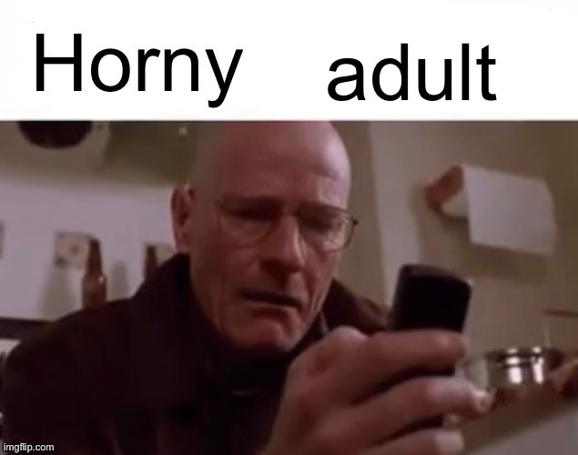 Me in less than a year | adult | image tagged in horny children | made w/ Imgflip meme maker