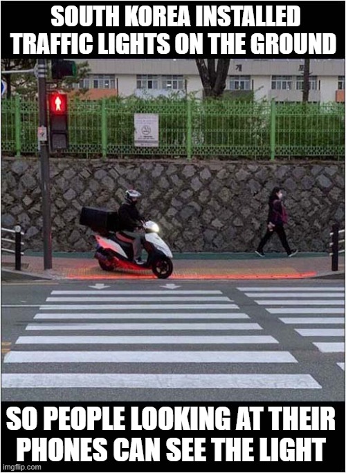 Phone Zombies Are Everywhere ! | SOUTH KOREA INSTALLED TRAFFIC LIGHTS ON THE GROUND; SO PEOPLE LOOKING AT THEIR
PHONES CAN SEE THE LIGHT | image tagged in phone zombie,crossing | made w/ Imgflip meme maker