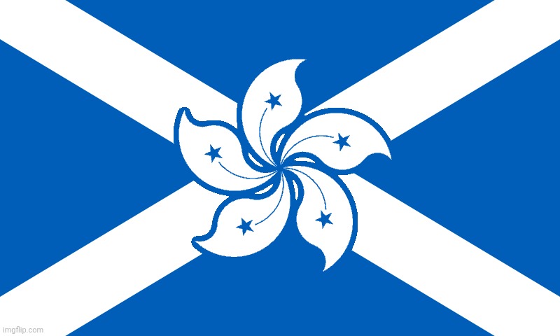 ㅤ | image tagged in scot kong flag | made w/ Imgflip meme maker