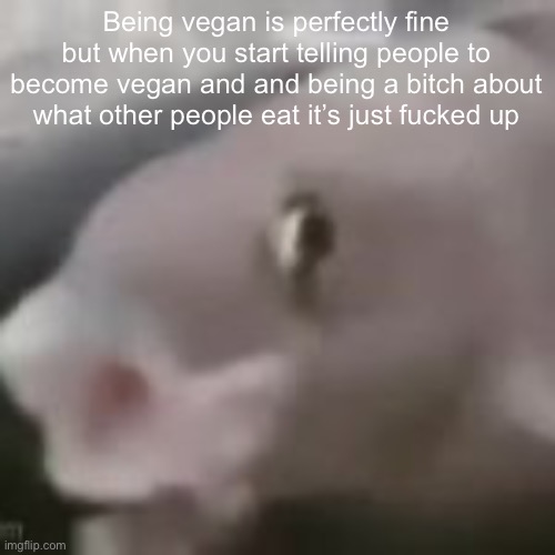 Opinion time | Being vegan is perfectly fine but when you start telling people to become vegan and and being a bitch about what other people eat it’s just fucked up | image tagged in fih | made w/ Imgflip meme maker