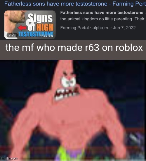 Fatherless sons have more testosterone | the mf who made r63 on roblox | image tagged in fatherless sons have more testosterone | made w/ Imgflip meme maker