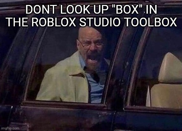 Walter White Screaming At Hank | DONT LOOK UP "BOX" IN THE ROBLOX STUDIO TOOLBOX | image tagged in walter white screaming at hank | made w/ Imgflip meme maker