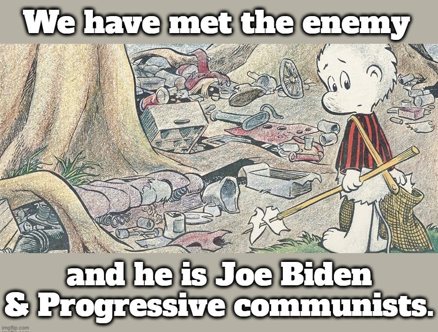 We have met the enemy and he is Joe Biden & Progressive communists. | image tagged in pogo,we have met the enemy,progressives,communists,flo from progressive,convention of states | made w/ Imgflip meme maker