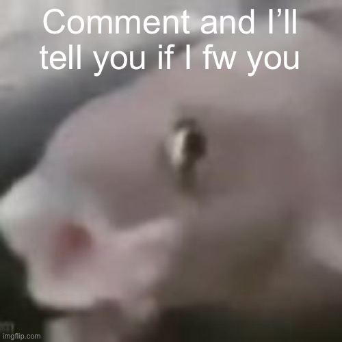 fih | Comment and I’ll tell you if I fw you | image tagged in fih | made w/ Imgflip meme maker