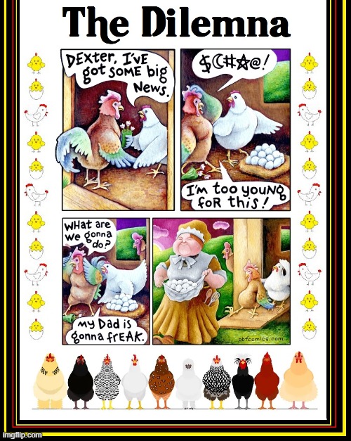 The "Adoption" Alternative | image tagged in vince vance,chickens,cartoon,eggs,rooster,hen | made w/ Imgflip meme maker