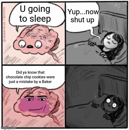 Brain Before Sleep | U going to sleep; Yup...now shut up; Did ya know that chocolate chip cookies were just a mistake by a Baker | image tagged in brain before sleep,relatable memes | made w/ Imgflip meme maker