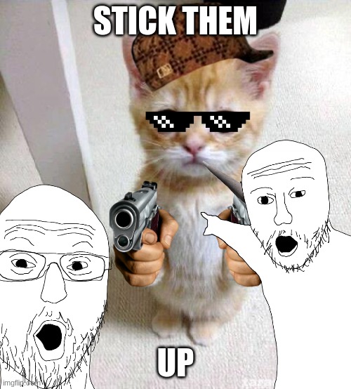 Cute Cat Meme | STICK THEM; UP | image tagged in memes,cute cat | made w/ Imgflip meme maker