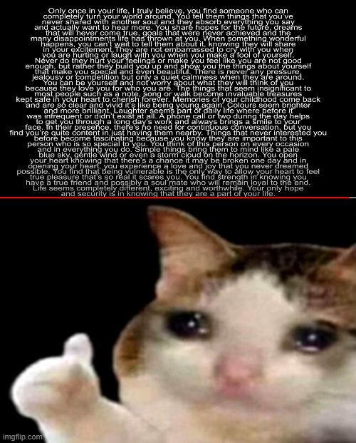 image tagged in sad cat thumbs up | made w/ Imgflip meme maker