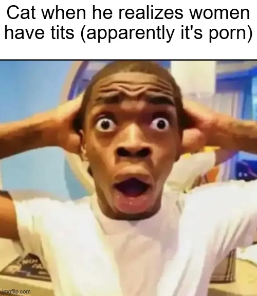 Surprised Black Guy | Cat when he realizes women have tits (apparently it's porn) | image tagged in surprised black guy | made w/ Imgflip meme maker